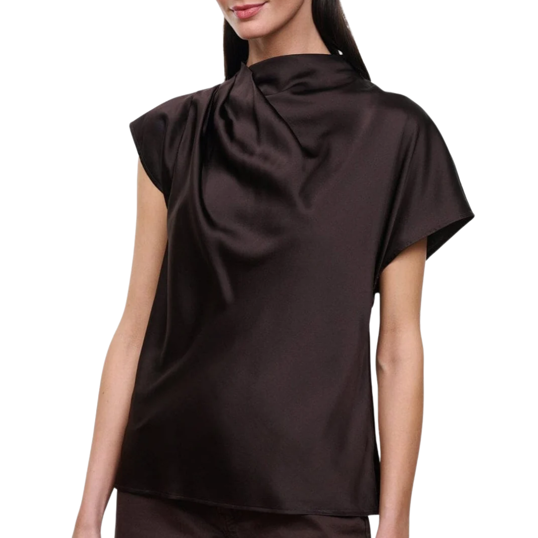Davina Silk Top in Earth