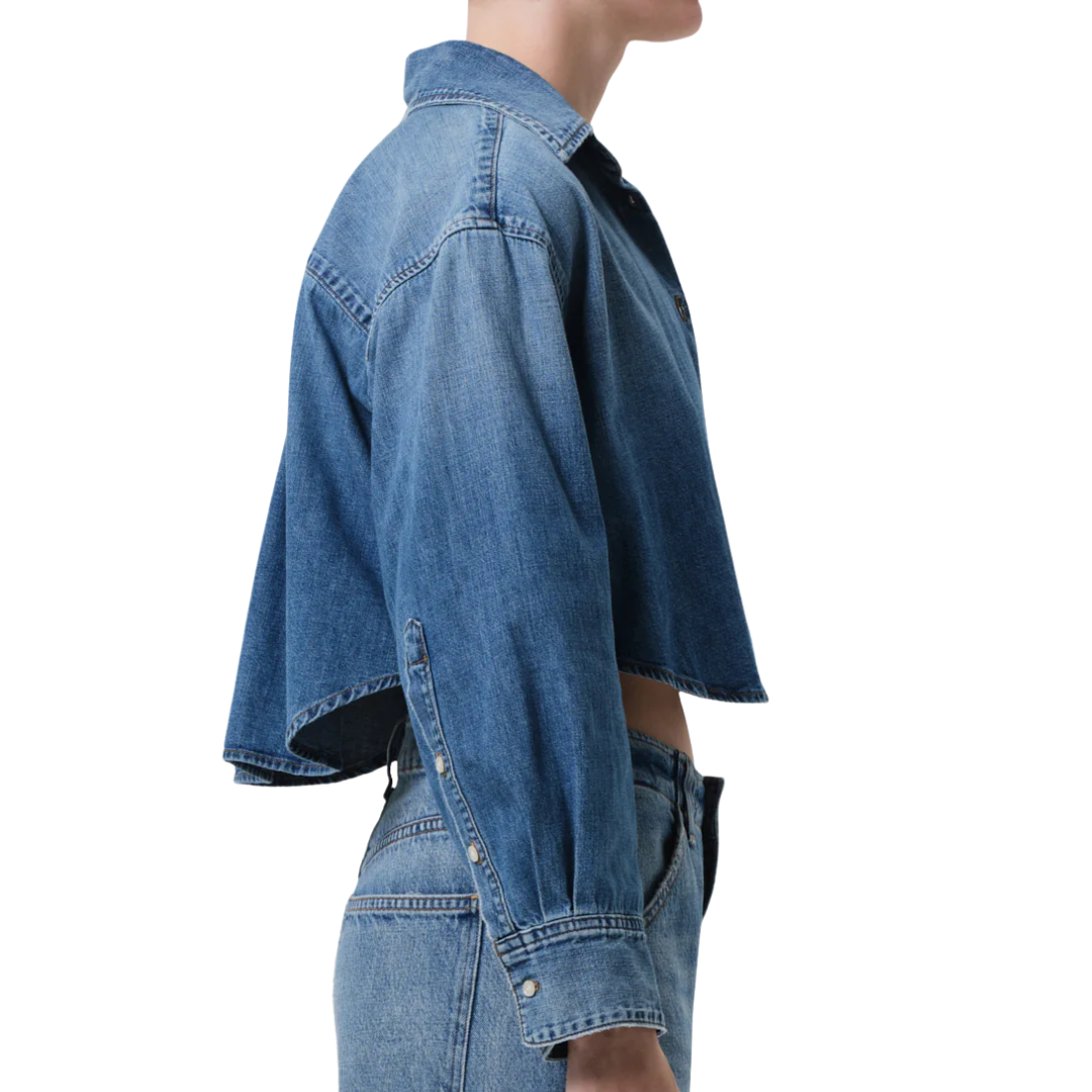 Ana Cropped Shirt in Somerset