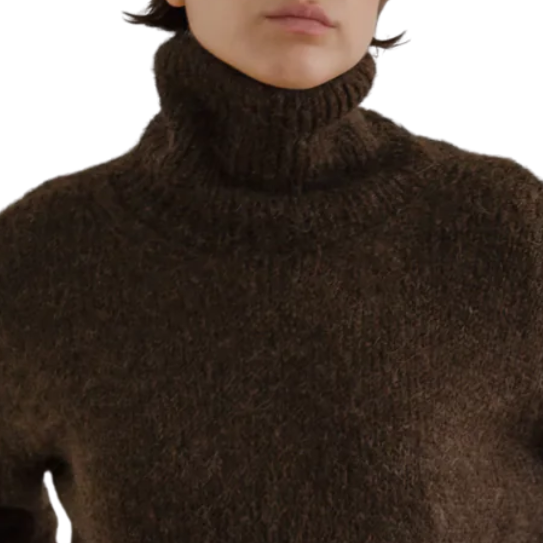 Penta Turtleneck in Chocolate