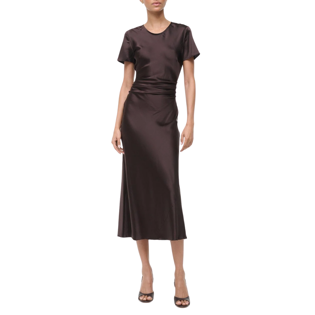 Marcel Silk Dress in Earth
