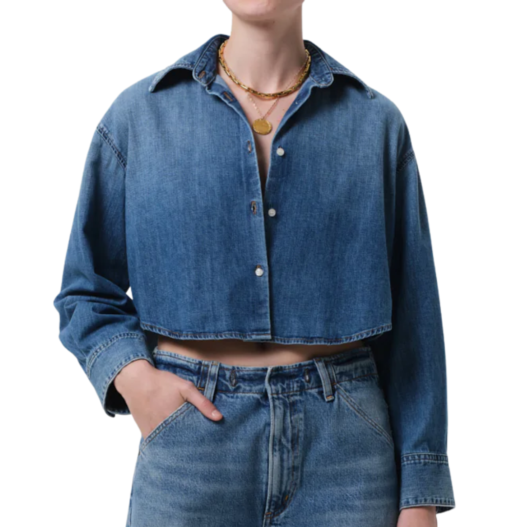 Ana Cropped Shirt in Somerset