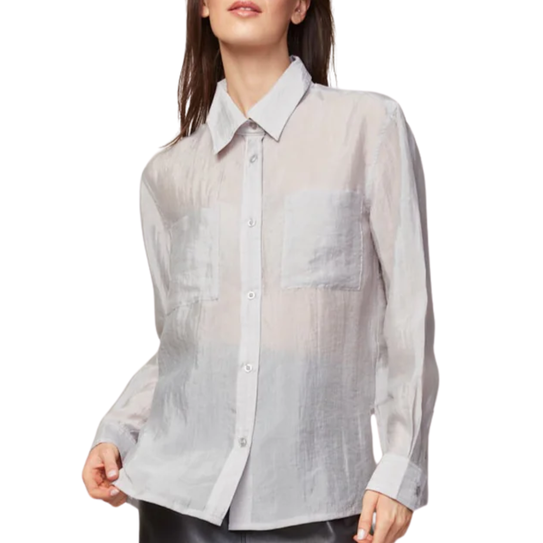 Bijou Transparent Buttoned Blouse in Grey
