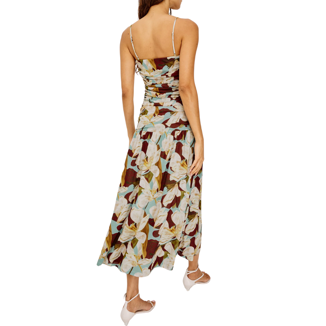 Dolly Dress in Plumeria