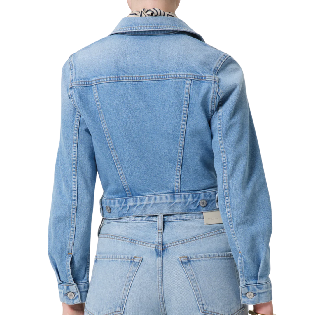Charisse Shrunken Jacket in Sparrow