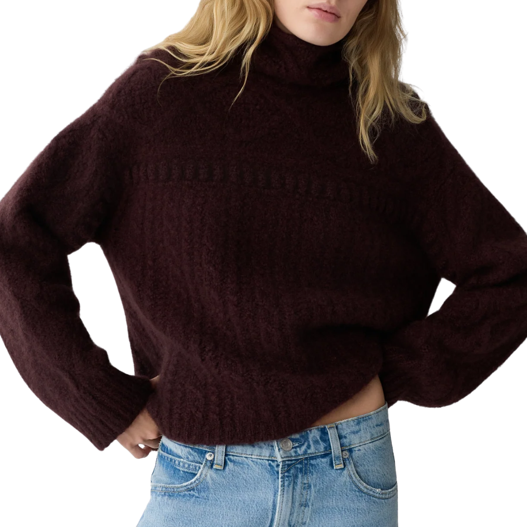 Super Cloud Turtleneck in Fig