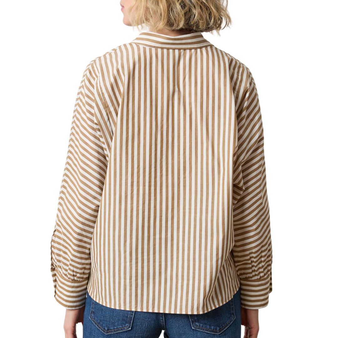Dolman Sleeve Button Down in Dijon/Talc Stripe