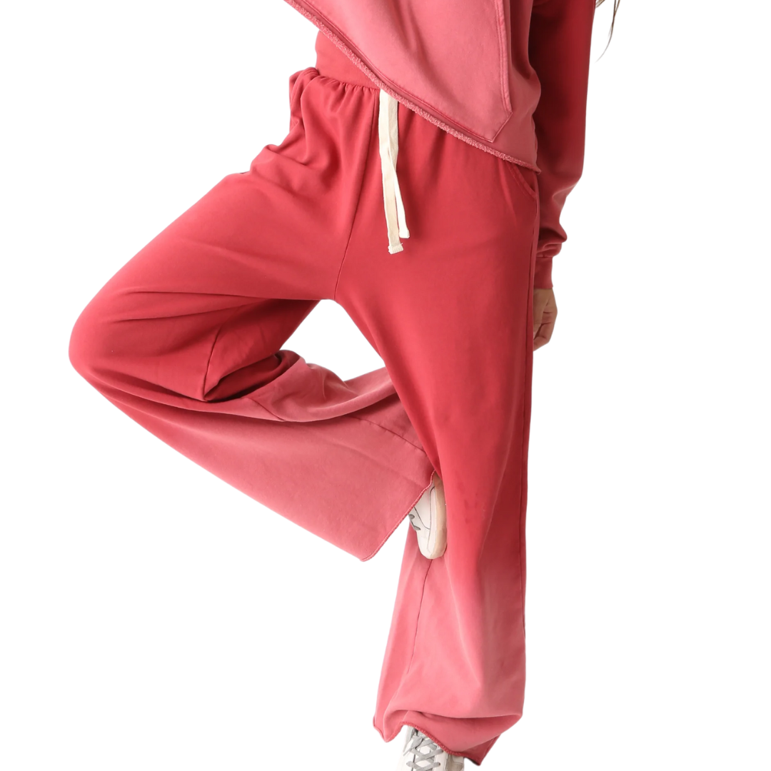 Palisade Pant in Sunbleach Brick Red